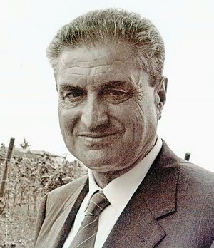 Falconi Angelo