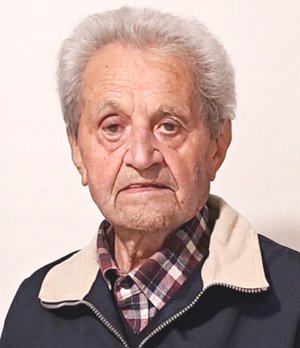 Palamini Innocente