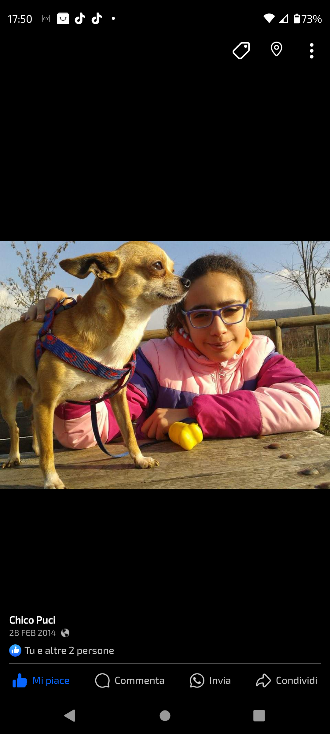 Ogni vita un racconto